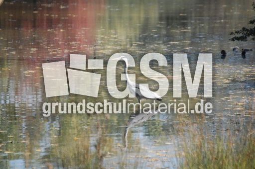 Ümminger See2.jpg